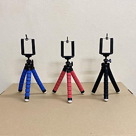 Mua Gậy Bạch Tuộc 3 Chân
