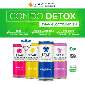 Combo 4 lon mix vị Thức uống lên men STAR KOMBUCHA - Detox Pack (250ml/lon)