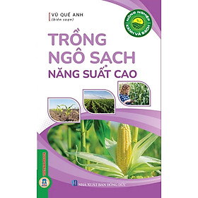 Nông Nghiệp Xanh Và Sạch - Trồng Ngô Sạch Năng Suất Cao