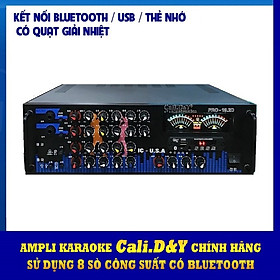Amply Karaoke Cali DY PRO-192D