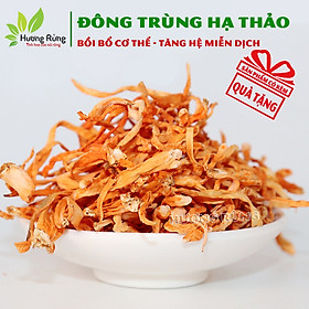 ĐÔNG TRÙNG HẠ THẢO 500g sấy khô loại đặc biệt nguyên chất