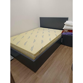 Mua Nệm cao su non ITALIA dầy 10cm Công Nghệ Châu Âu ( Rẻ Nhất Sàn )