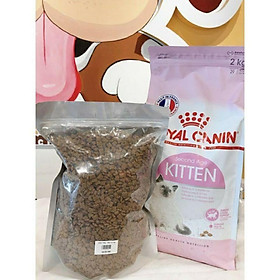 royal canin kitten hạt cho mèo túi 1kg