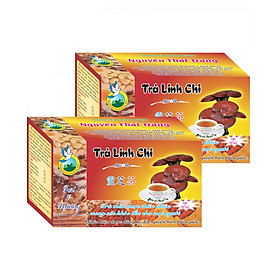 Combo 3 Hộp Trà Linh Chi (Hộp 20 Túi Lọc X 2gr) - Tăng Tuổi Thọ, Bồi Bổ Sức Khỏe - Nguyên Thái Trang – Thảo Dược Thiên Nhiên