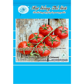 0.1g Hạt Giống Cà Chua Bi USA (Solanum lycopersicum)