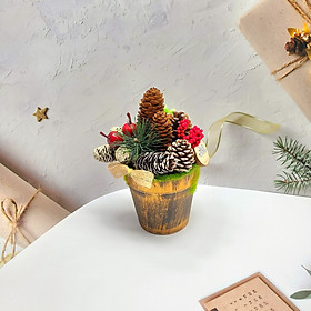 Mua Cây Thông Nhí 20CM Để Bàn Trang Trí Giáng Sinh nhiều mẫu