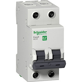 Hình ảnh Cầu dao / Aptomat tự động Schneider Electric MCB Easy9 4.5kA 2P 230V