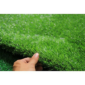 Thảm Có Nhân Tạo 361X370 cao 2cm
