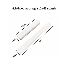 Mua XƯƠNG LƯỢC NGỰA GUITAR ACOUSTIC CLASSIC #NUT-SADDLE