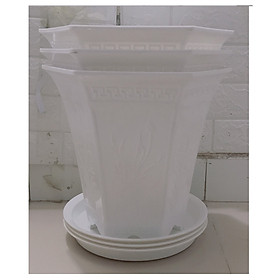 Combo 3 Chậu Nhựa Trồng Hoa, Cây Cảnh Lục Giác LGC280 Màu Trắng + 3 Khay  Lót Đế Chậu D270