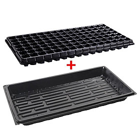 3 Bộ Vỉ nhựa ươm hạt giống kèm Khay chứa nước ươm cây 55*30*5.5 cm, Kit khay nhựa PVC