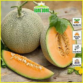Mua Hạt giống Dưa Lưới Ruột Vàng Lai F1  Chịu Nhiệt Tốt  Trồng Quanh Năm (gói 10 hạt) - Hạt giống Rạng Đông