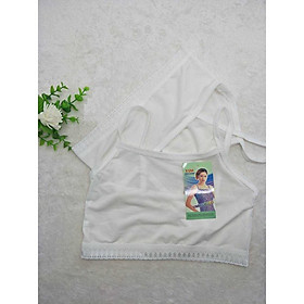 Combo 5 Áo Lá Ngắn Thun Mát Dành Cho Học Sinh 868 – Cotton Co Giãn 4 Chiều, Free Size