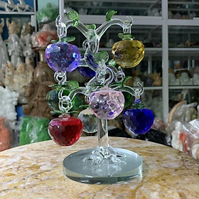 Mua Cây Táo Tài Lộc Phong Thuỷ - cao 20cm