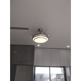 Mua Quạt giấu cánh cụp xòe cao cấp mã 10