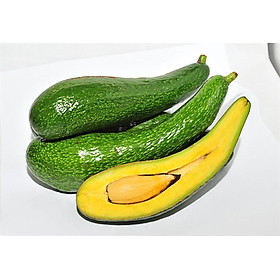 Bơ 034 Đặc Sản Đà Lạt - Laman Food - Loại Trái Dài Từ 3-5 Trái/ Kg