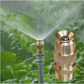 Mua Đầu vòi phun sương bằng đồng thau có thể điều chỉnh (1 cái)- Đầu tưới phun sương