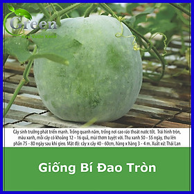Mua Hạt Giống Bí Đao Trái Tròn Thái Lan
