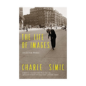 Life Of Images, The