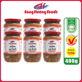 6 Hũ Mắm Cá Linh Sông Hương Foods Hũ 400g