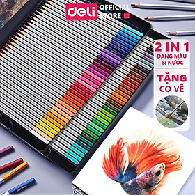 [Tặng Cọ] Bút Chì Màu Gốc Nước Dmast Cao Cấp Deli - Chì Màu Hộp Thiếc 24/36/48/72 Màu - Tô Vẽ Tranh Chuyên Nghiệp - 24 Màu