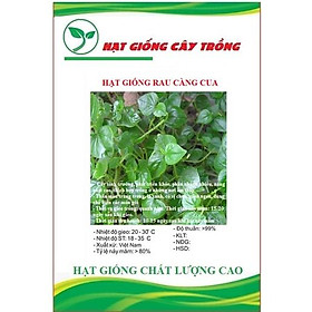 Mua Hạt giống rau càng cua CT17 - Gói 0.5gram