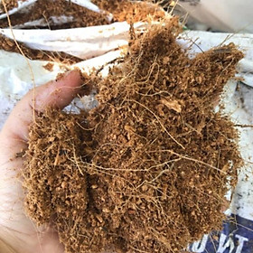 Xơ dừa bón cây 1kg