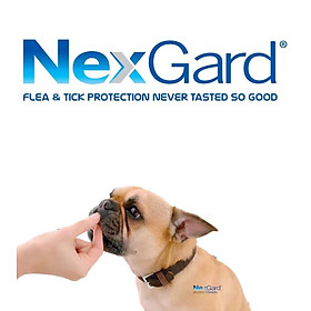 1 hộp NexGard trị ghẻ, viêm da, ve rận (chó từ 25 - 50kg, 6 viên nhai)