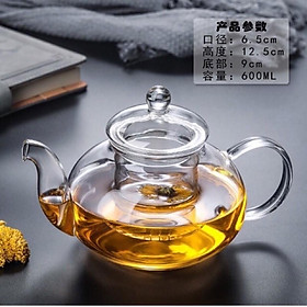 Mua Combo ấm lọc thuỷ tinh 600ml