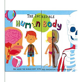 Hình ảnh My First Human Body Book - New Version