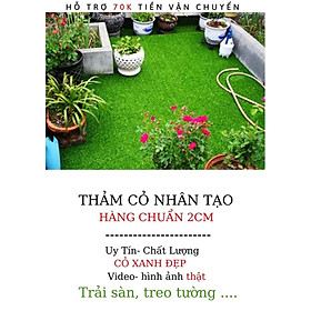 Mua Thảm Cỏ Nhân tạo Giá Rẻ  2cm hàng Chuẩn