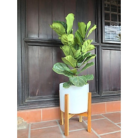 Kệ gỗ cho chậu cây