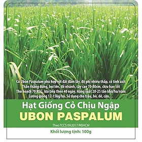 Hạt giống cỏ xả chịu ngập UBON Paspalum - gói 0.5kg