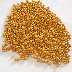 Mua Phân vàng Hà Lan Osmocote 14-14-14 bịch 1kg