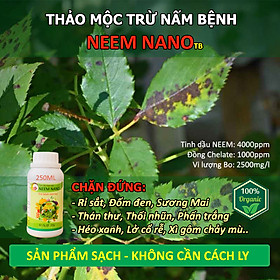 Mua VƯỜN SINH THÁI - Thuốc trừ nấm bệnh sinh học neem nano - Sạch thán thư  rỉ sắt  thối nhũn  đốm đen  héo xanh  phấn trắng - Chiết xuất 100% Thiên Nhiên