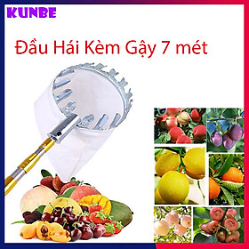 Mua Vợt  Sào  Gậy Inox KUNBE Siêu Chắc  Nhiều Kích Thước Kèm Đầu Hái Trái Cây Đường Kính 16cm  Dụng Cụ Hái Quả Trên Cao