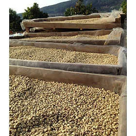 Mua set 10kg cà phê nhân arabica cầu đất (không tạp chất)