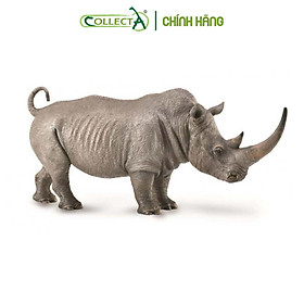 Mô hình thu nhỏ Tê Giác Trắng - White Rhinoceros, hiệu CollectA