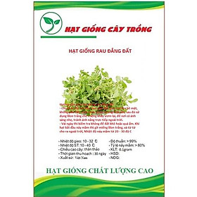 Hạt giống rau đắng đất CT62 - Gói 0.1gram