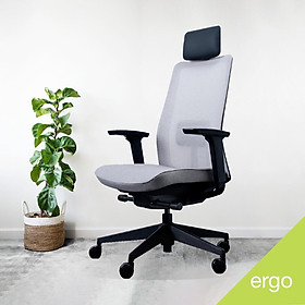 Ghế văn phòng Ergonomic Hàn Quốc Krede K10A