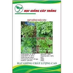 Mua Hạt Giống Rau Ngải Cứu CT352 - Gói 50 hạt