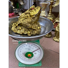 Mua Cóc ngậm tiền  linh vật phong thủy
