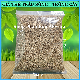 Mua Vỏ Trấu- Vỏ Lúa Trồng Cây