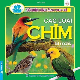 Từ Điển Hình Ảnh Cho Bé - Các Loài Chim