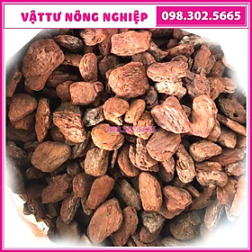 Mua Size 2x3cm Vỏ thông mài cạnh sạch đẹp đều chuyên trồng hoa lan  cây để bàn  - Gói 1 kg