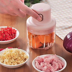 Mua Máy Xay Mini Dung Tích 250ml Có Cổng Sạc Usb Xay Hành  Tỏi  Rau Củ Nhỏ Gọn