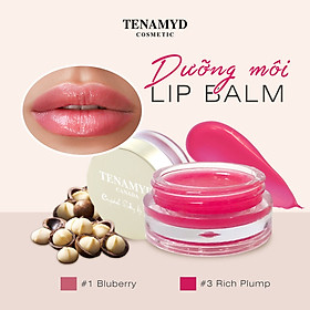 Dưỡng Môi TENAMYD Lip Balm 5g - Số 1 Blueberry