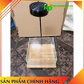Bể Kính Việt Nhật & Siêu Trong Cho Cá Cảnh,Thủy Sinh,Bán Cạn