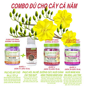 Mua BỘ 4 MÓN PHÂN TAN CHẬM THÔNG MINH CHĂM SÓC CÂY MAI SAU TẾT (BÓN MỘT LẦN  ĐỦ DINH DƯỠNG CHO CẢ NĂM)