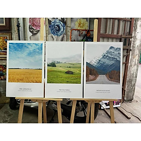 Bộ 3 Tranh canvas CÓ KHUNG tặng kèm đinh